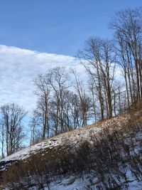 Bare trees on snow covered land against sky