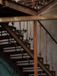 Low angle view of spiral staircase