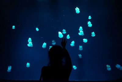 Rear view of boy swimming in aquarium