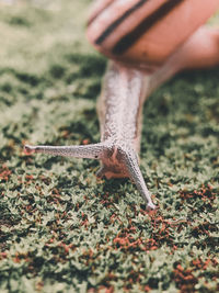 Close-up of human hand