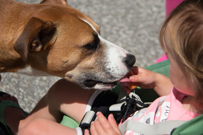 Close-up of dog