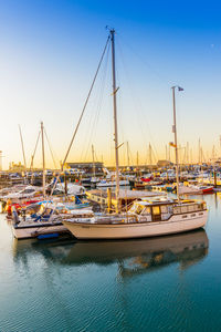 Sailboats moored in harbor