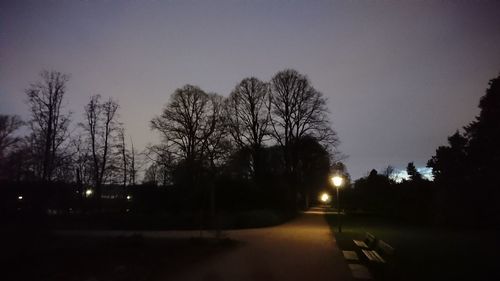 View of bare trees at dusk