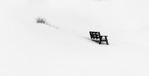 Snow covered bench on field during winter