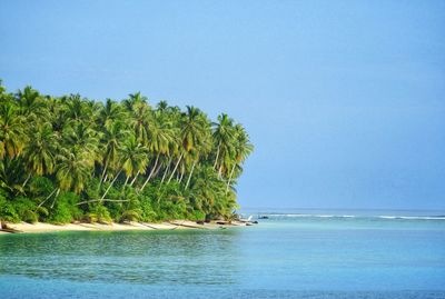 Scenic view of sea against clear sky