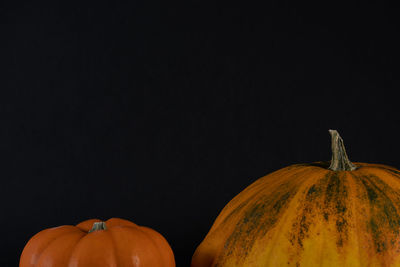 Close-up of pumpkins against black background