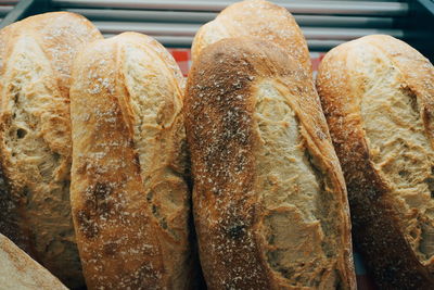 Close-up of bread in store