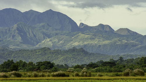 Scenic view of landscape and mountains against sky