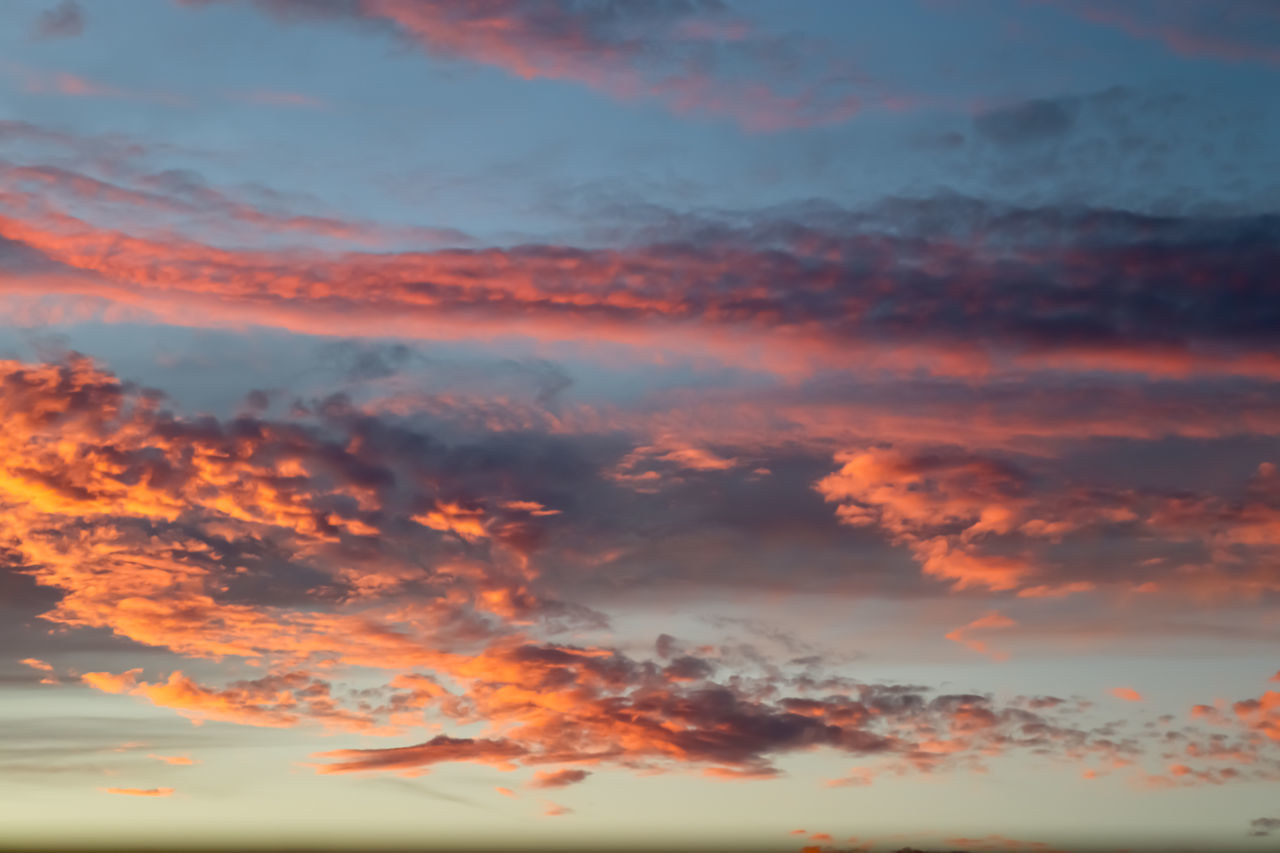 LOW ANGLE VIEW OF ORANGE SKY