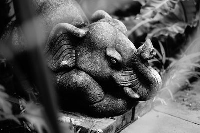 Close-up of horse statue