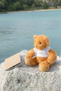 Close-up of stuffed toy by sea