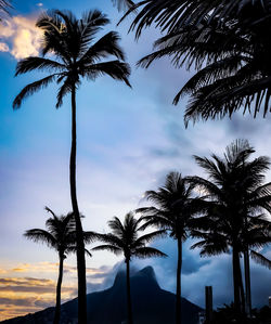 Low angle view of silhouette palm trees against cloudy sky during sunset