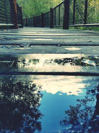 Reflection of trees in water