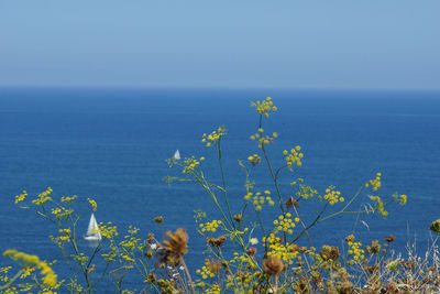 Scenic view of sea against blue sky