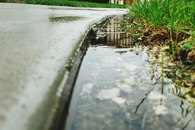 Scenic view of water