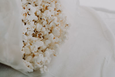 High angle view of white flowers in bowl