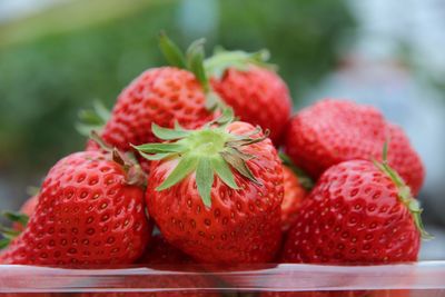 Close-up of strawberries