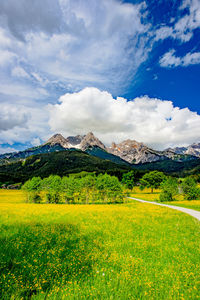 Scenic view of field and mountains against sky