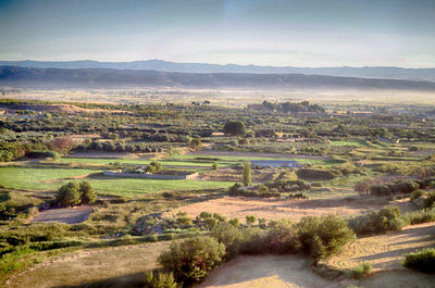 Scenic view of field against clear sky