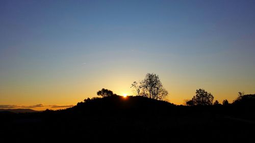 Silhouette of trees at sunset