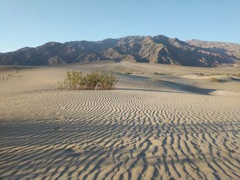 Scenic view of desert against clear sky