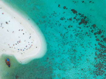 High angle view of woman swimming in sea