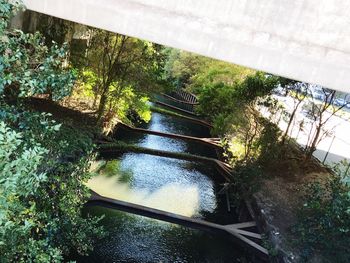 High angle view of plants by trees