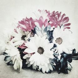 Close-up of flowers