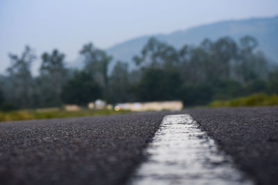 Surface level of road against trees