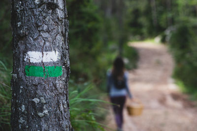 Rear view of person walking on tree trunk