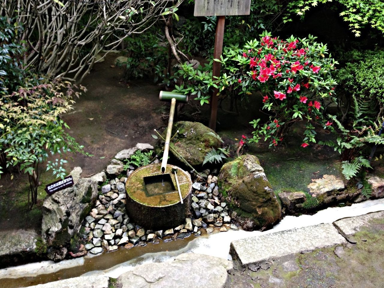 flower, plant, growth, nature, stone - object, freshness, potted plant, day, high angle view, park - man made space, outdoors, beauty in nature, formal garden, water, rock - object, leaf, no people, tranquility, green color, stone wall