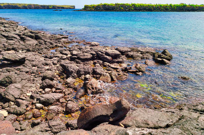 Rocks in sea