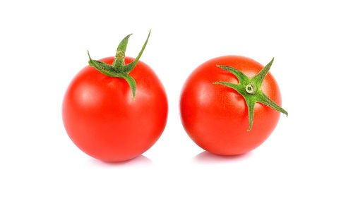 Close-up of tomatoes against white background