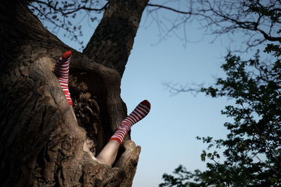 Low angle view of girl in tree trunk against clear sky