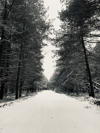 Snow covered road amidst trees during winter