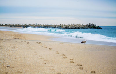 Scenic view of beach against sky