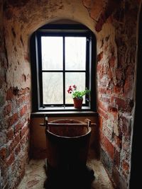 Potted plant on window sill