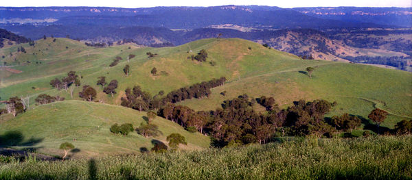 Scenic view of landscape