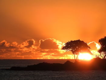 Silhouette trees by sea against orange sky