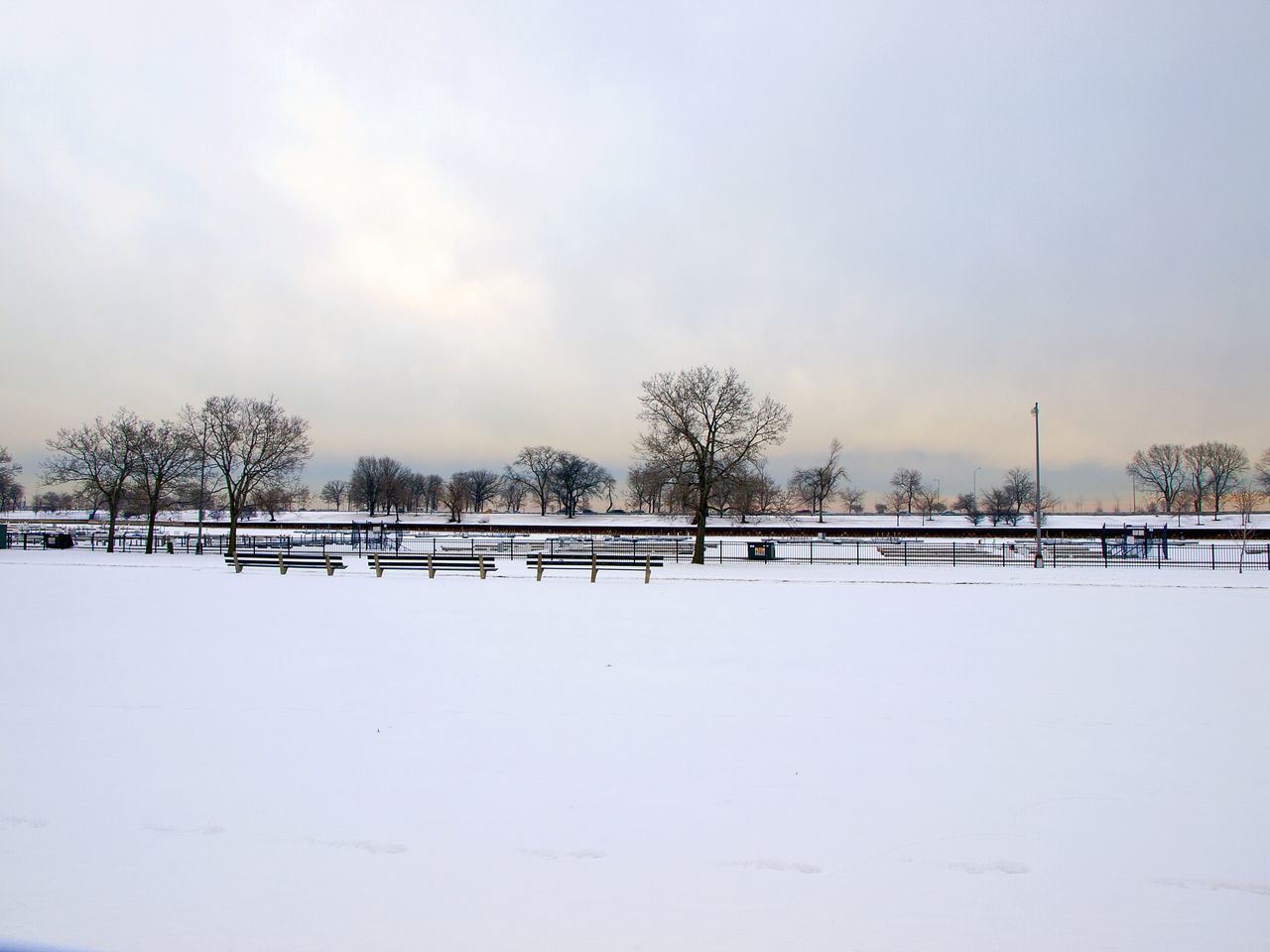 SNOW COVERED FIELD BY TREES AGAINST SKY