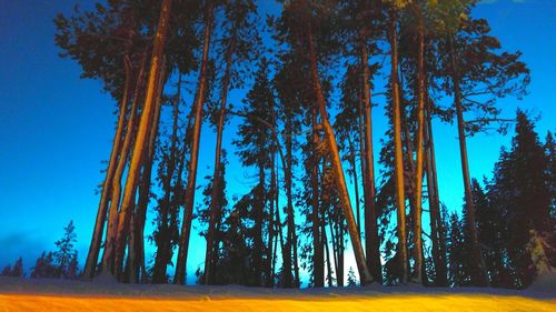 Panoramic view of trees against clear sky