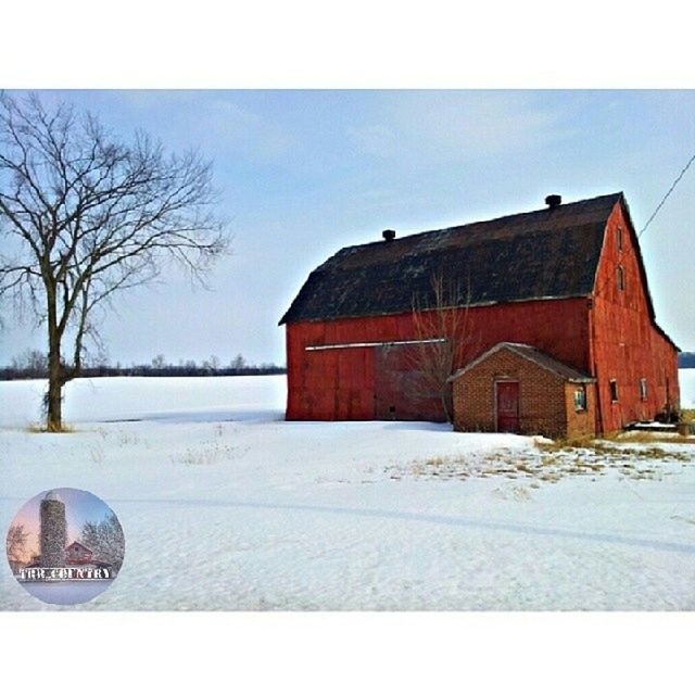 snow, winter, cold temperature, season, weather, building exterior, bare tree, covering, architecture, built structure, frozen, house, transfer print, tree, covered, sky, snow covered, white color, transportation, field