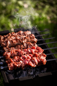 Close-up of meat on barbecue grill