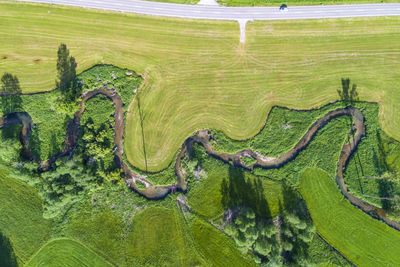 High angle view of agricultural field