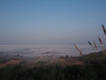 Scenic view of landscape against sky during foggy weather