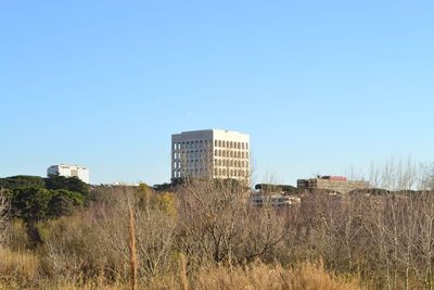 Buildings on field against clear blue sky