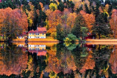 Trees by lake against buildings during autumn