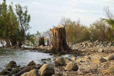 View of sea of galilee against the background of the golan heights in israel. camping on the shores