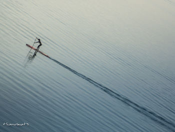 High angle view of people on sea