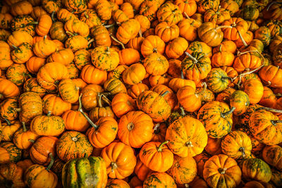 Full frame shot of pumpkins at market stall